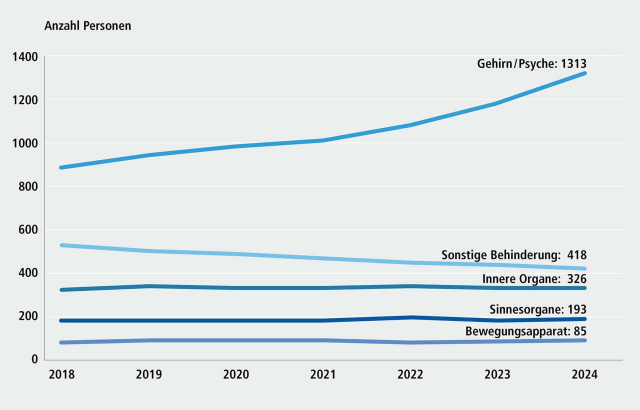 Abbildung A 2.5 Kinder und Jugendliche von 6 bis unter 25 Jahren nach Art der Schwerbehinderung, 2018 bis 2024. Eine ausf&uuml;hrliche Beschreibung erfolgt im Anschluss.