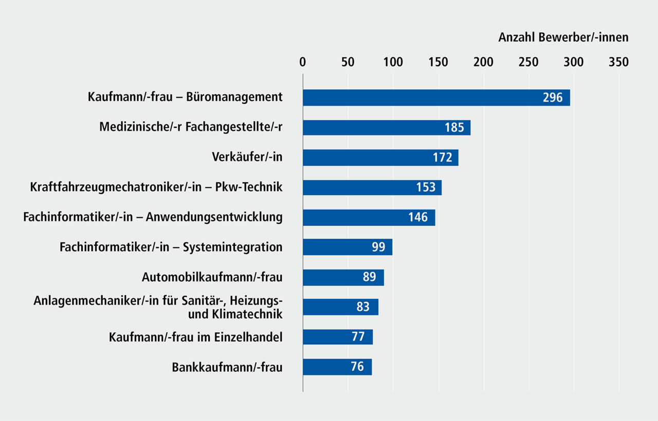 Abbildung E 3.3a: Top 10-Berufe der Bewerber/-innen f&uuml;r Berufsausbildungsstellen in der Stadt N&uuml;rnberg, 2023/24. Eine ausf&uuml;hrliche Beschreibung erfolgt im Anschluss.
